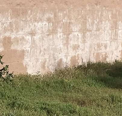 Effloresence On Block Wall